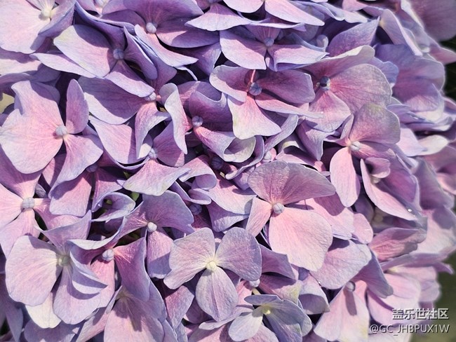 【瞬間的溫度】色彩狂歡