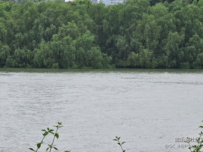 #六月江南暑未闌——夏日的日常