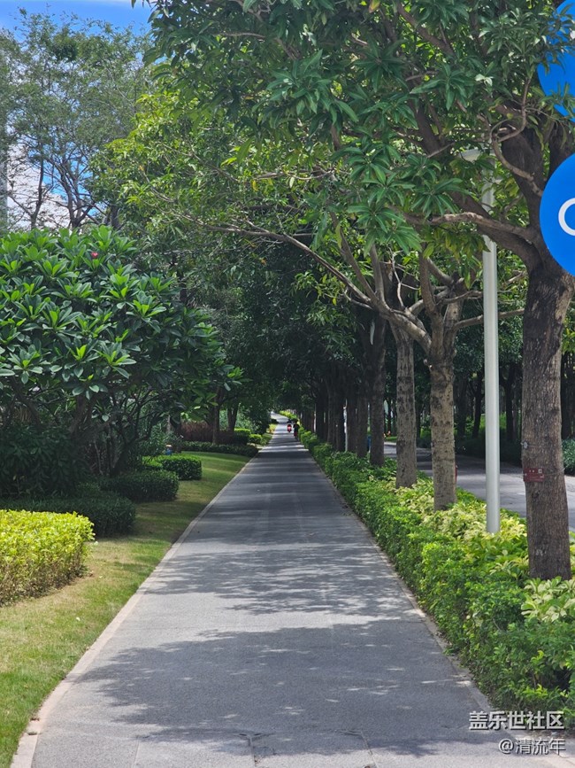 【浪漫盛夏季】盛夏