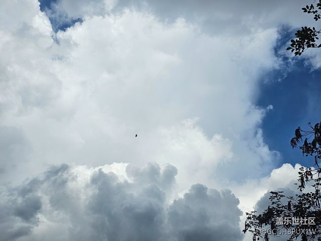 【Galaxy影像】#雨季的詩意