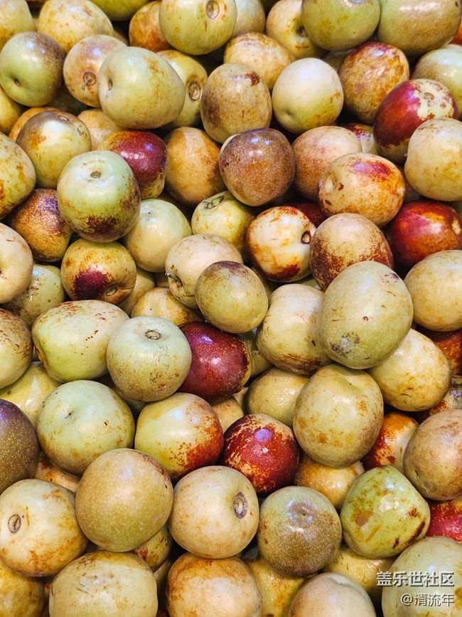 【夏日消暑搭子】清涼一夏