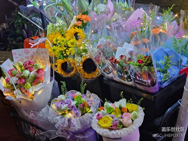 【鵬城夜景】美麗的夜晚