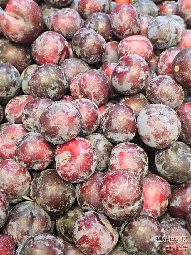 【夏日消暑搭子】清涼一夏