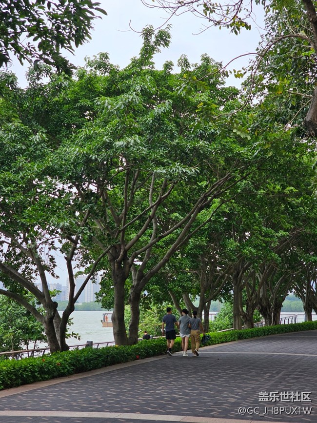 【浪漫盛夏季】悠閑盛夏