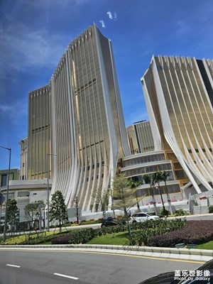 蓮花海濱大馬路