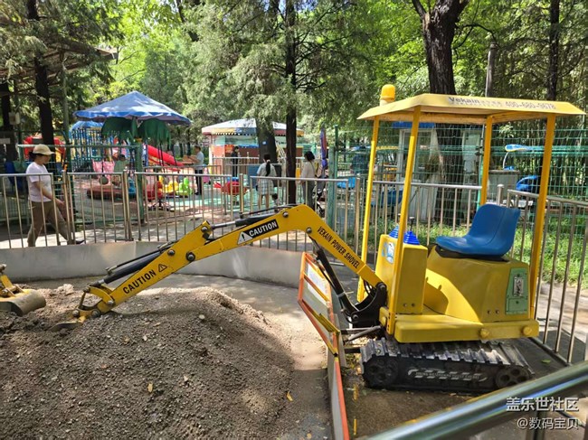 【 粽夏童趣】孩子的天地