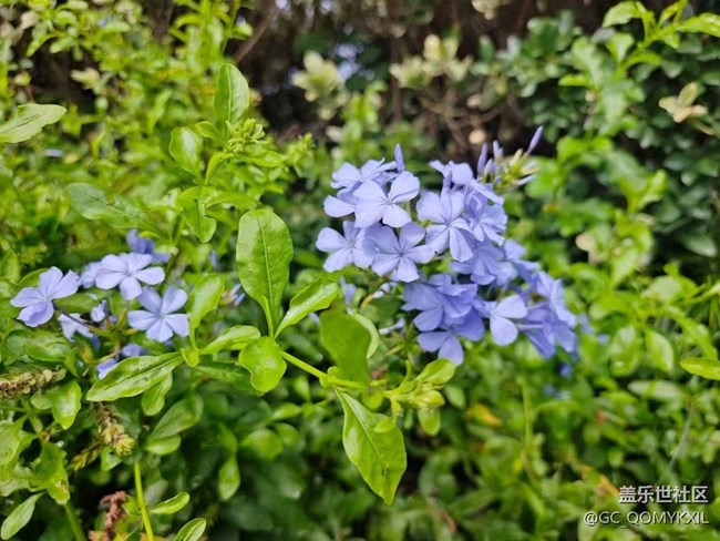 【浪漫盛夏季】看風(fēng)景