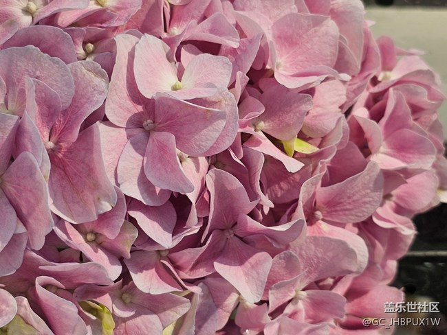 【瞬間的溫度】色彩狂歡