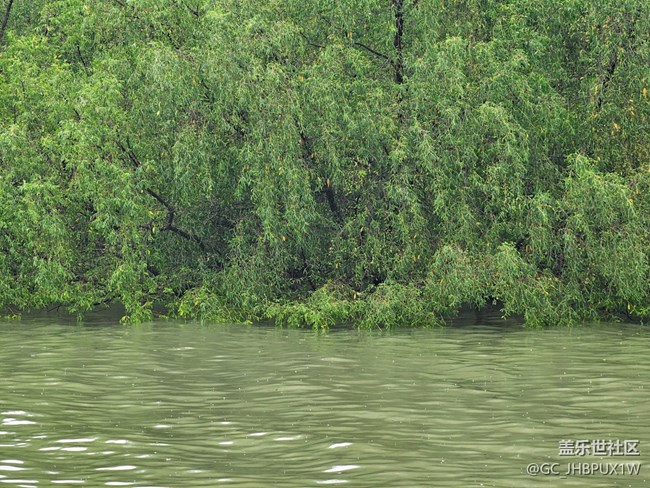 【Galaxy影像】#雨季的詩意