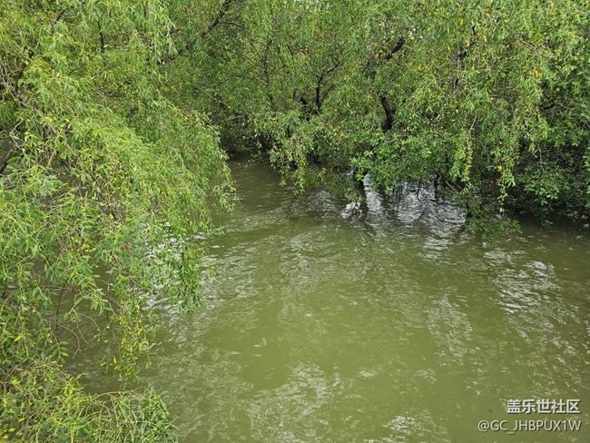 【Galaxy影像】#雨季的詩意
