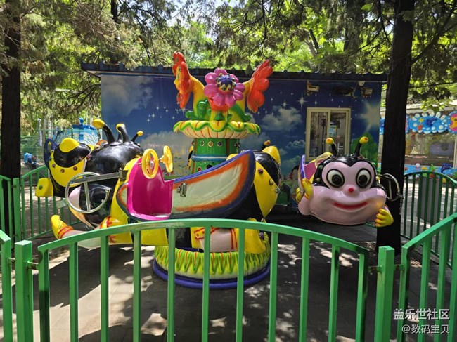 【 粽夏童趣】孩子的天地