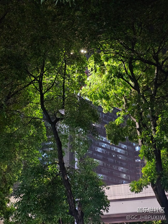 【鵬城夜景】美麗的夜晚