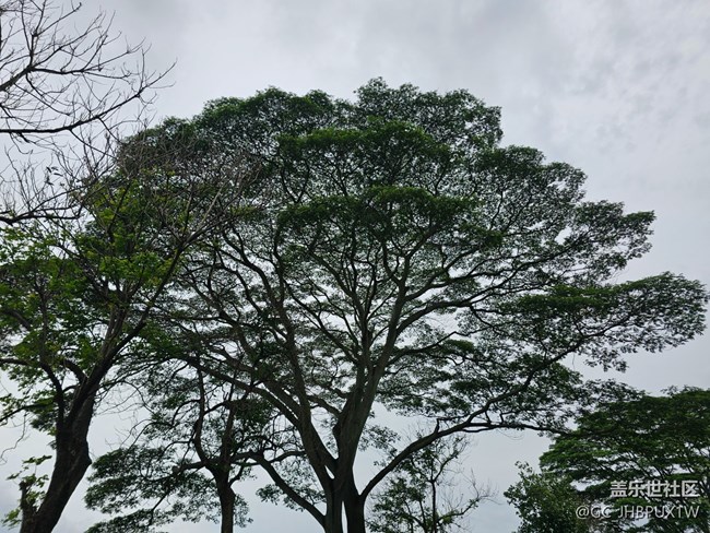 #六月江南暑未闌——夏日的日常