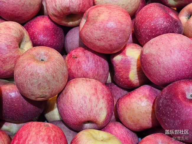 【夏日消暑搭子】清涼一夏