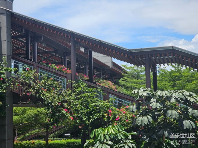 【瞬間的溫度】繽紛夏日