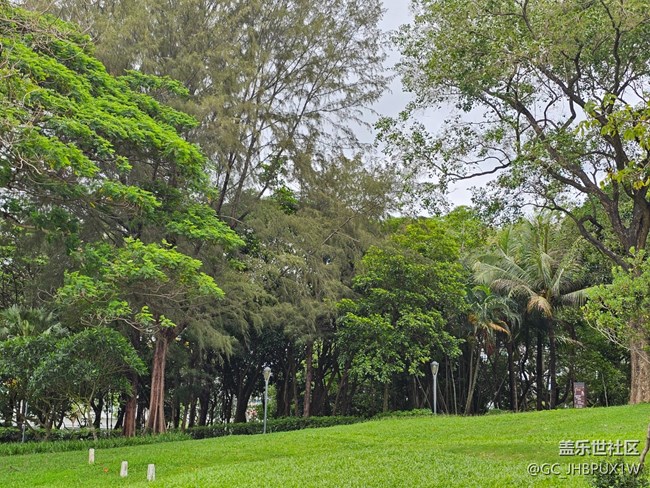 #六月江南暑未闌——夏日的日常