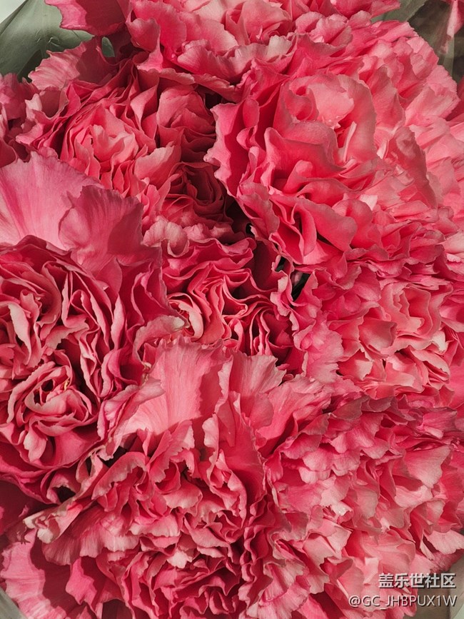 【瞬間的溫度】色彩狂歡