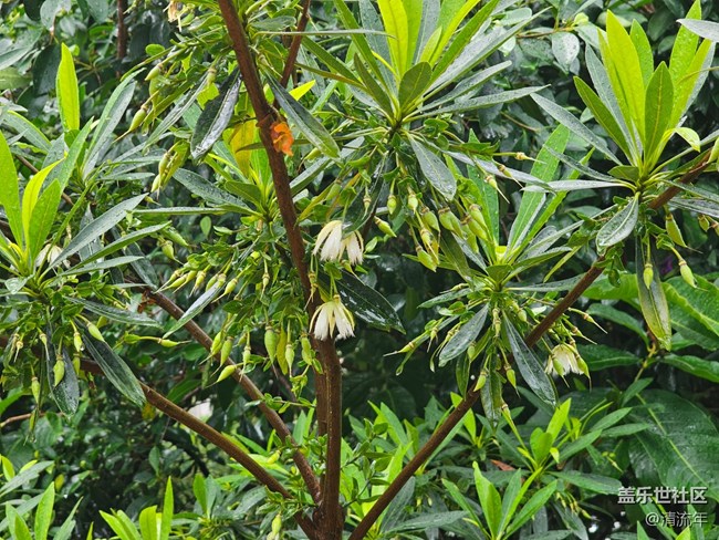 【夏日松弛感】夏天