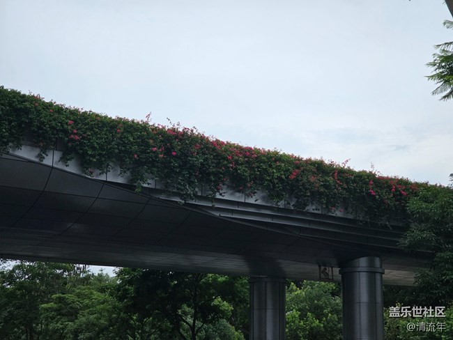 【夏日松弛感】公園