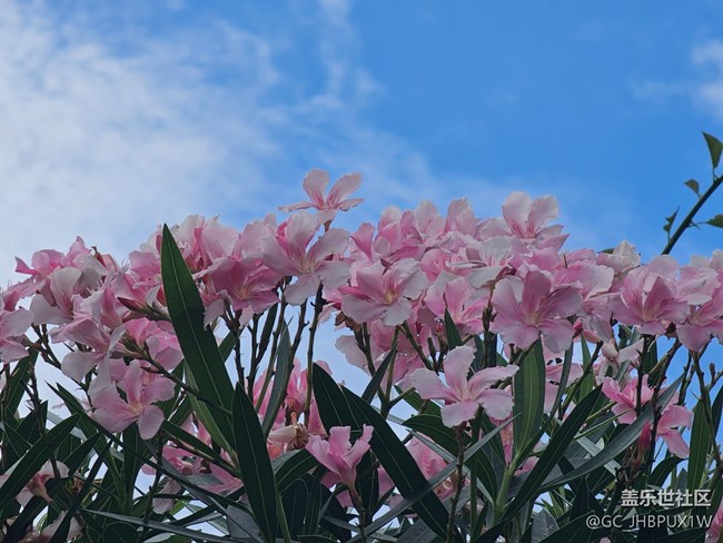【夏日松弛感】天氣晴朗