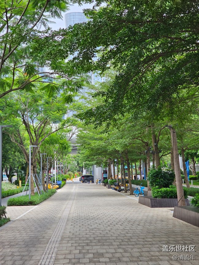 【夏日松弛感】六月日常