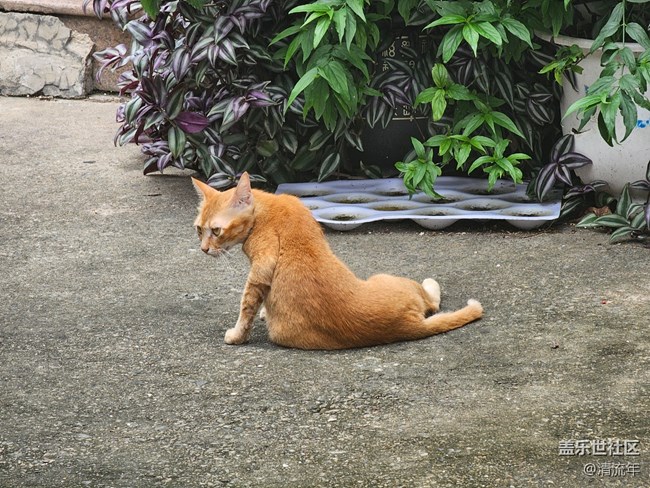 【夏日松弛感】公園