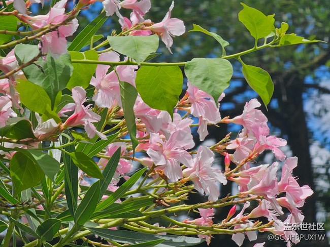 【夏日松弛感】天氣晴朗