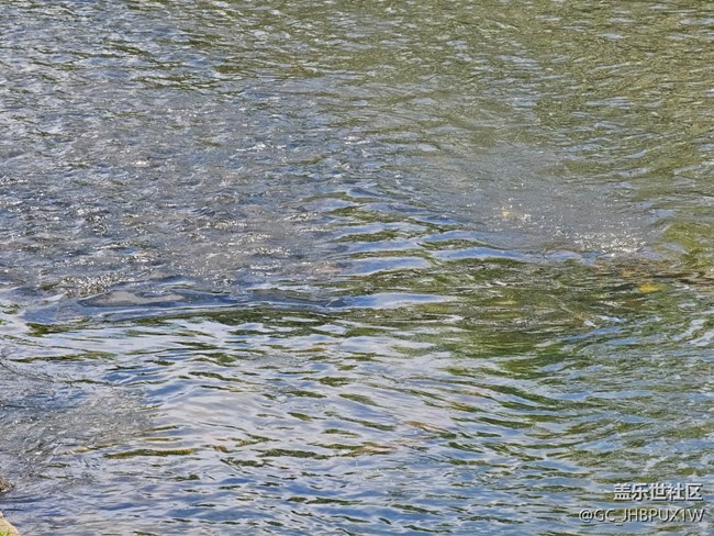 【夏日松弛感】天氣晴朗