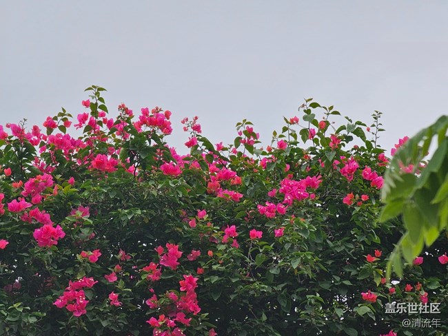 【夏日松弛感】公園