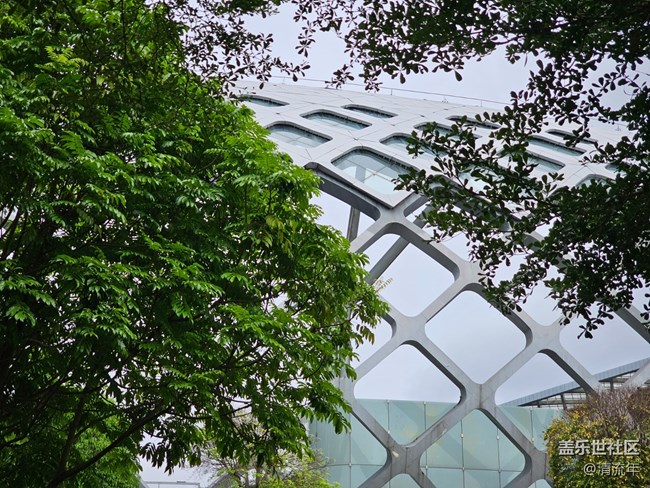 【夏日松弛感】六月日常