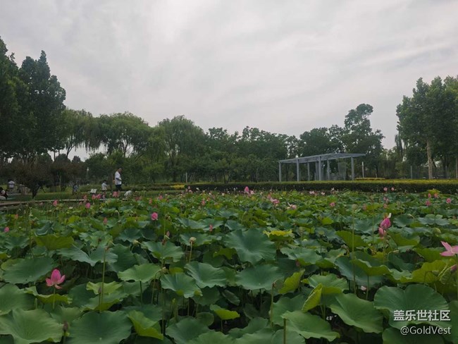 【夏日松弛感】在日落以后