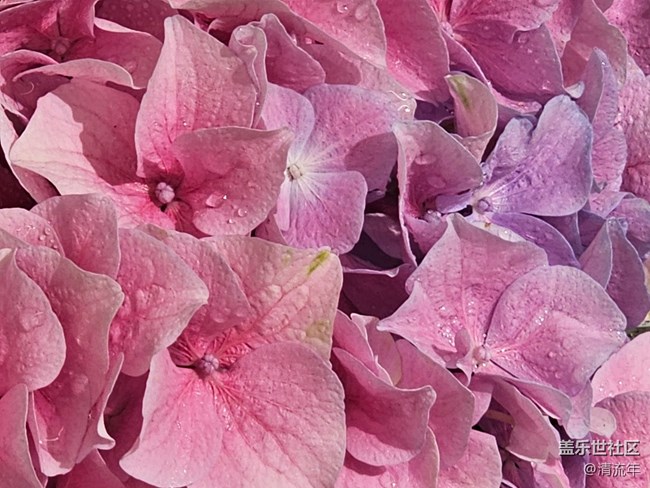 【夏日松弛感】公園