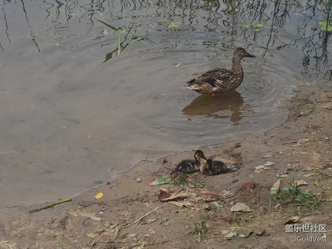 【夏日松弛感】在日落以后
