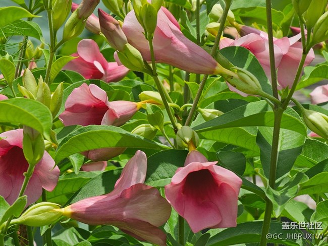 【夏日松弛感】天氣晴朗