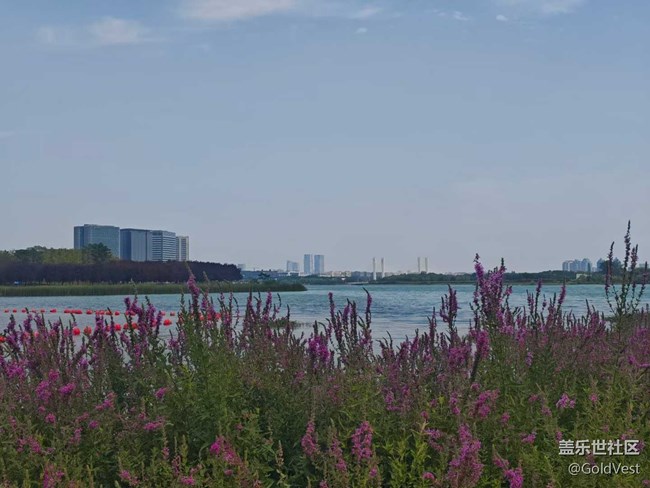 【夏日松弛感】在日落以后