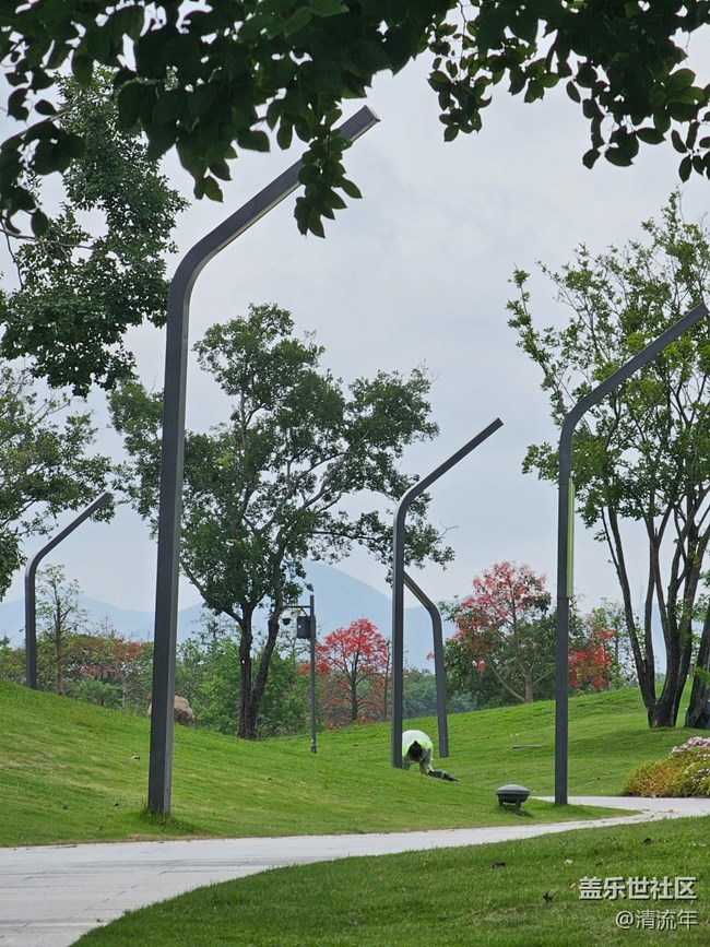 【夏日松弛感】公園