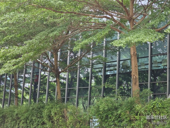 【夏日松弛感】六月日常