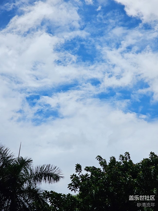 【夏日松弛感】公園