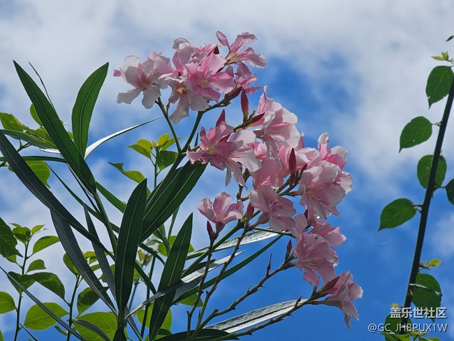【夏日松弛感】天氣晴朗
