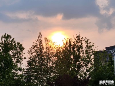 【花開半夏】+暴風(fēng)雨來臨前