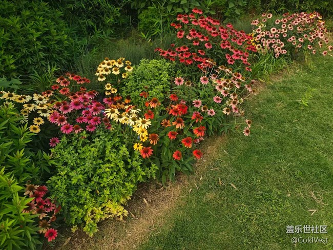 【夏日松弛感】在日落以后