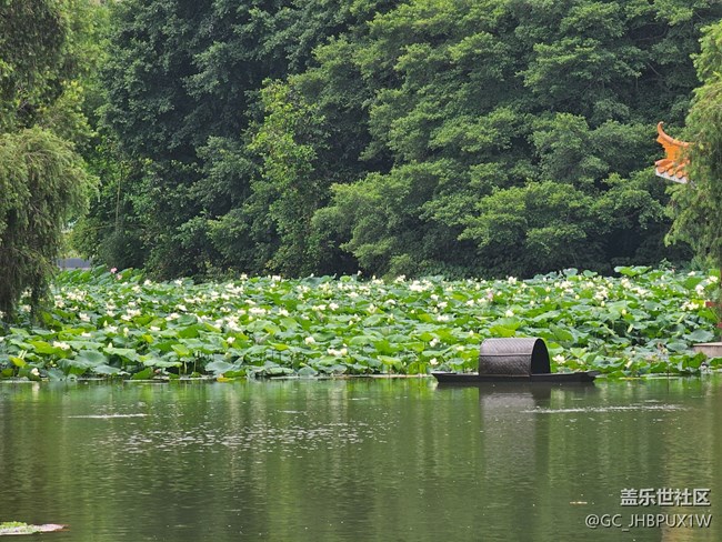 【夏日松弛感】天氣晴朗