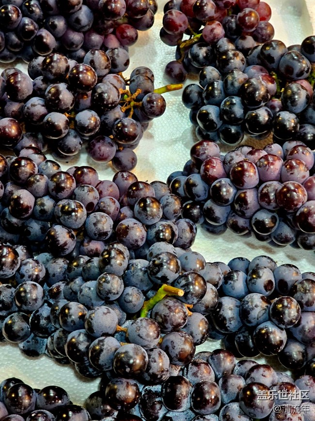 【夏日松弛感】六月日常