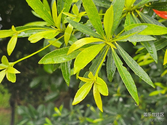 【夏日松弛感】夏天