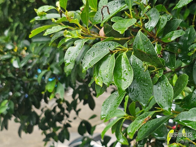 【夏日松弛感】夏天