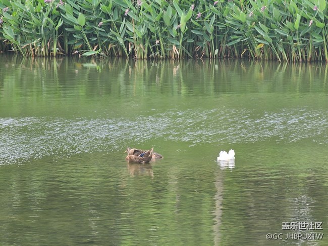 【夏日松弛感】天氣晴朗