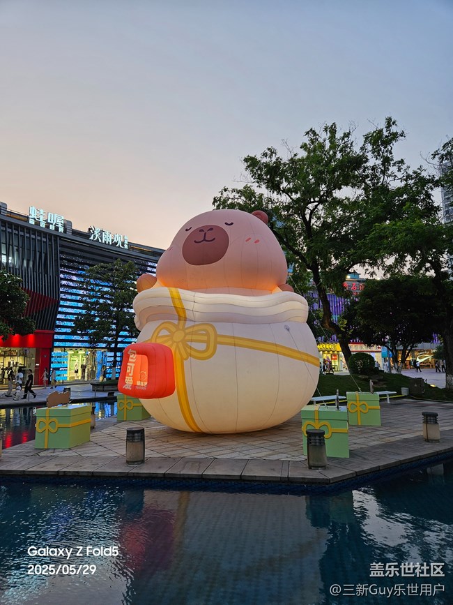 【梅雨光影詩】難得晴天