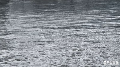 【花開半夏】+夏天的陽光