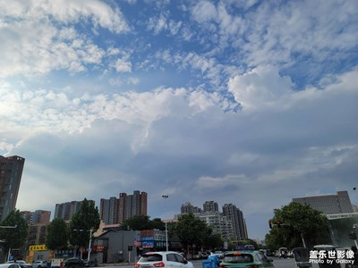 【花開半夏】東邊下雨西邊晴
