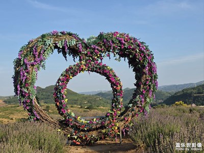 【七彩夏日】遠(yuǎn)山的呼喚